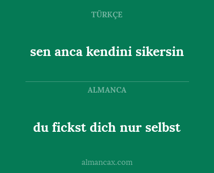 du fickst dich nur selbst - sen anca kendini sikersin