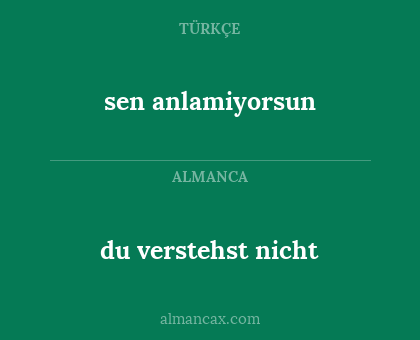 du verstehst nicht - sen anlamiyorsun