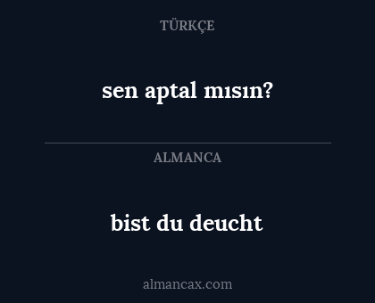 bist du deucht - sen aptal mısın?