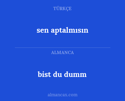 sen aptalmısın - bist du dumm