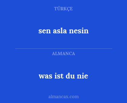 sen asla nesin - was ist du nie