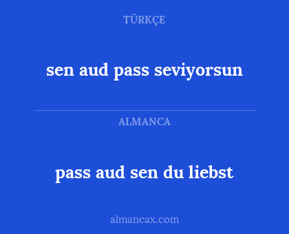 pass aud sen du liebst - sen aud pass seviyorsun