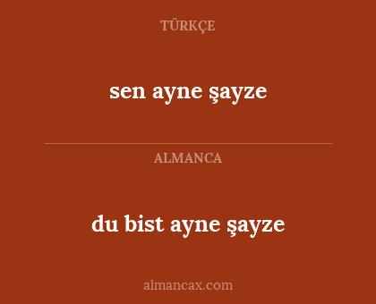 du bist ayne şayze - sen ayne şayze