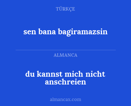 du kannst mich nicht anschreien - sen bana bagiramazsin