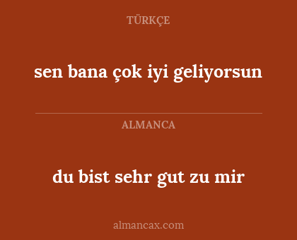 du bist sehr gut zu mir - sen bana çok iyi geliyorsun