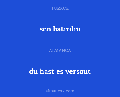 sen batırdın - du hast es versaut