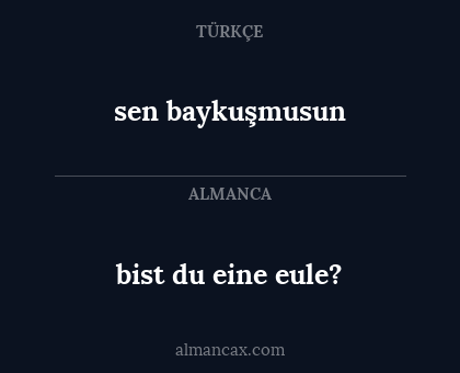 sen baykuşmusun - bist du eine eule?