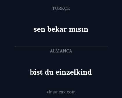 bist du einzelkind - sen bekar mısın