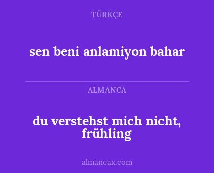 du verstehst mich nicht, frühling - sen beni anlamiyon bahar