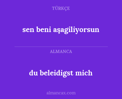 du beleidigst mich - sen beni aşagiliyorsun