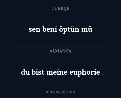 sen beni öptün mü - du bist meine euphorie