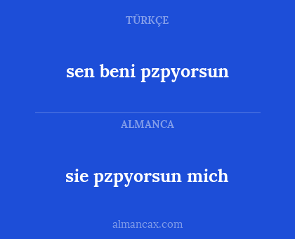 sen beni pzpyorsun - sie pzpyorsun mich