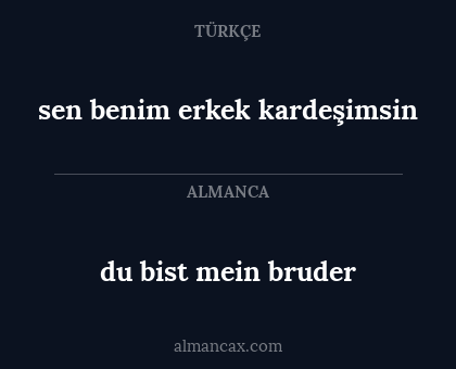 sen benim erkek kardeşimsin - du bist mein bruder