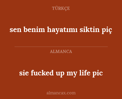 sen benim hayatımı siktin piç - sie fucked up my life pic