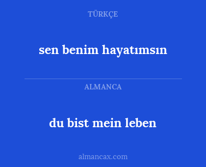 sen benim hayatımsın - du bist mein leben