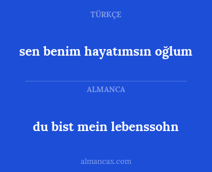 du bist mein lebenssohn - sen benim hayatımsın oğlum