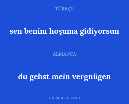 sen benim hoşuma gidiyorsun - du gehst mein vergnügen