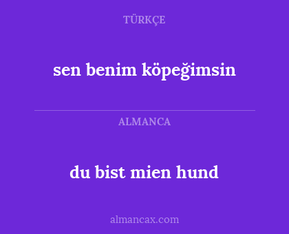 sen benim köpeğimsin - du bist mien hund