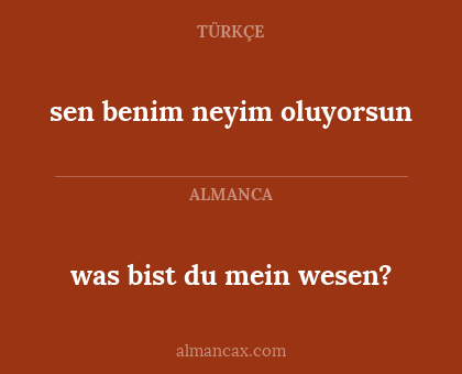 sen benim neyim oluyorsun - was bist du mein wesen?