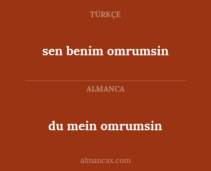 sen benim omrumsin - du mein omrumsin