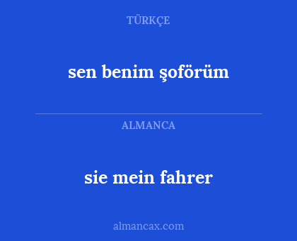 sie mein fahrer - sen benim şoförüm