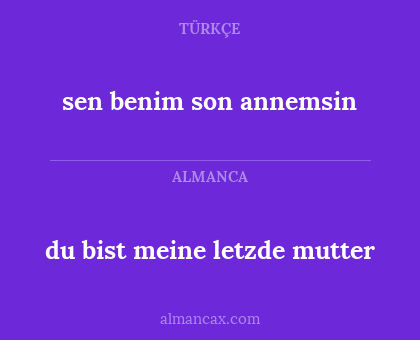 du bist meine letzde mutter - sen benim son annemsin
