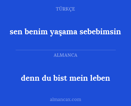denn du bist mein leben - sen benim yaşama sebebimsin