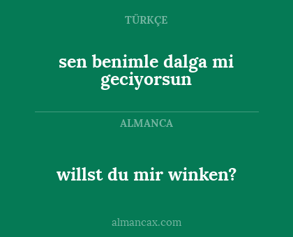 willst du mir winken? - sen benimle dalga mi geciyorsun