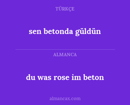 du was rose im beton - sen betonda güldün
