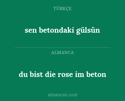 sen betondaki gülsün - du bist die rose im beton
