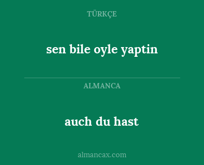 auch du hast - sen bile oyle yaptin