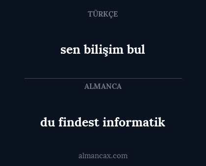 du findest informatik - sen bilişim bul