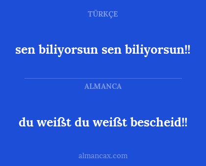 du weißt du weißt bescheid!! - sen biliyorsun sen biliyorsun!!