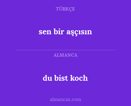 du bist koch - sen bir aşçısın