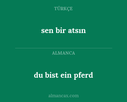 du bist ein pferd - sen bir atsın
