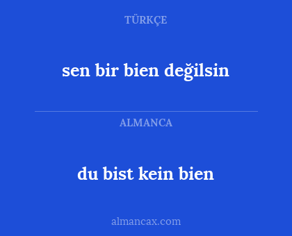 sen bir bien değilsin - du bist kein bien