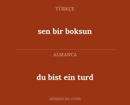 sen bir boksun - du bist ein turd