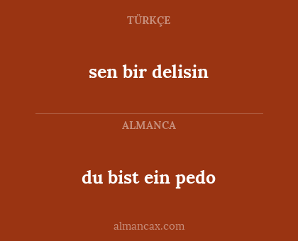 sen bir delisin - du bist ein pedo