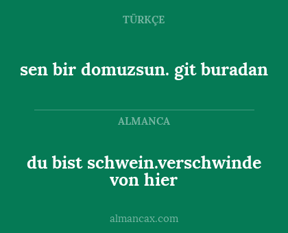 du bist schwein.verschwinde von hier - sen bir domuzsun. git buradan