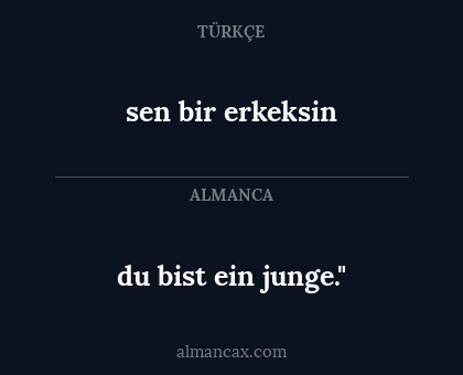 du bist ein junge." - sen bir erkeksin