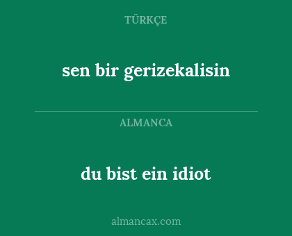 du bist ein idiot - sen bir gerizekalisin
