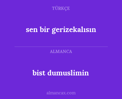 sen bir gerizekalısın - bist dumuslimin