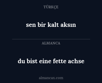 du bist eine fette achse - sen bir kalt aksın