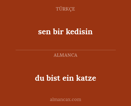 sen bir kedisin - du bist ein katze