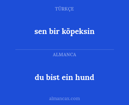 du bist ein hund - sen bir köpeksin