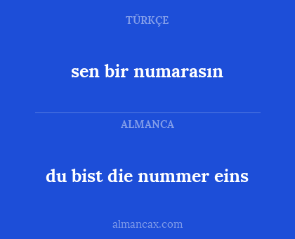 sen bir numarasın - du bist die nummer eins