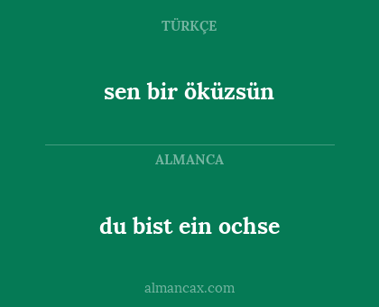 sen bir öküzsün - du bist ein ochse
