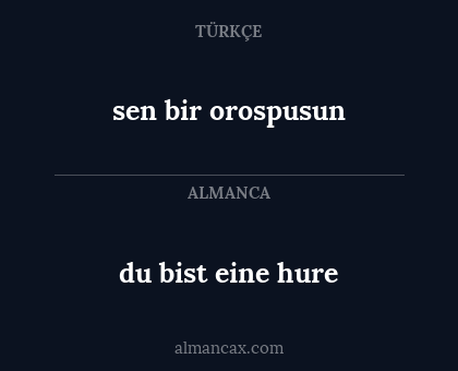 du bist eine hure - sen bir orospusun