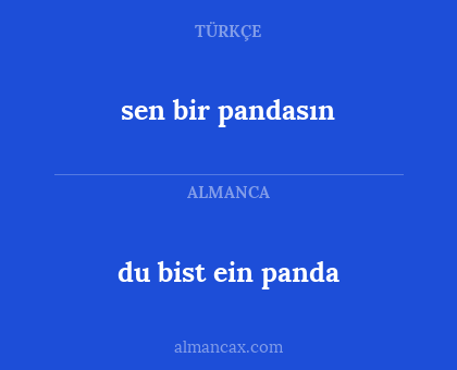 du bist ein panda - sen bir pandasın