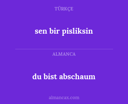 du bist abschaum - sen bir pisliksin